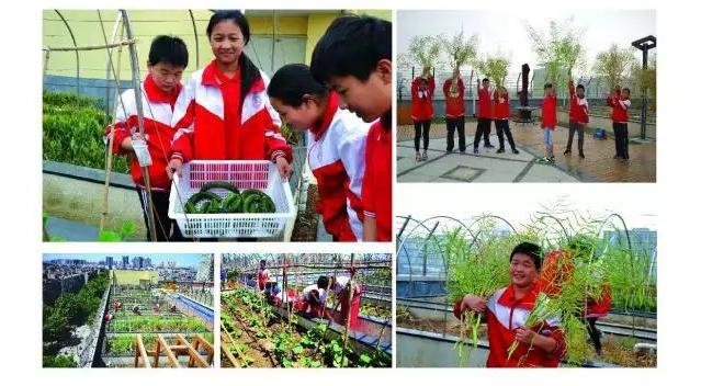 郑州三十一中新校区分数,2021郑州三批次高中有哪些