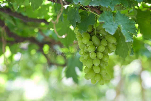 儿时记忆终生难忘,值得回味儿时的记忆