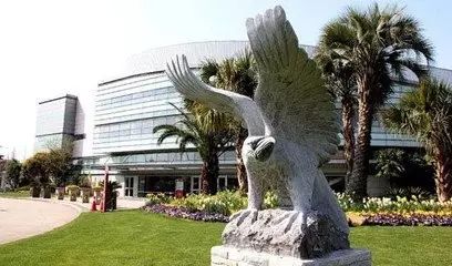 上海最贵的国际学校一年要多少钱,上海最贵的学校学生