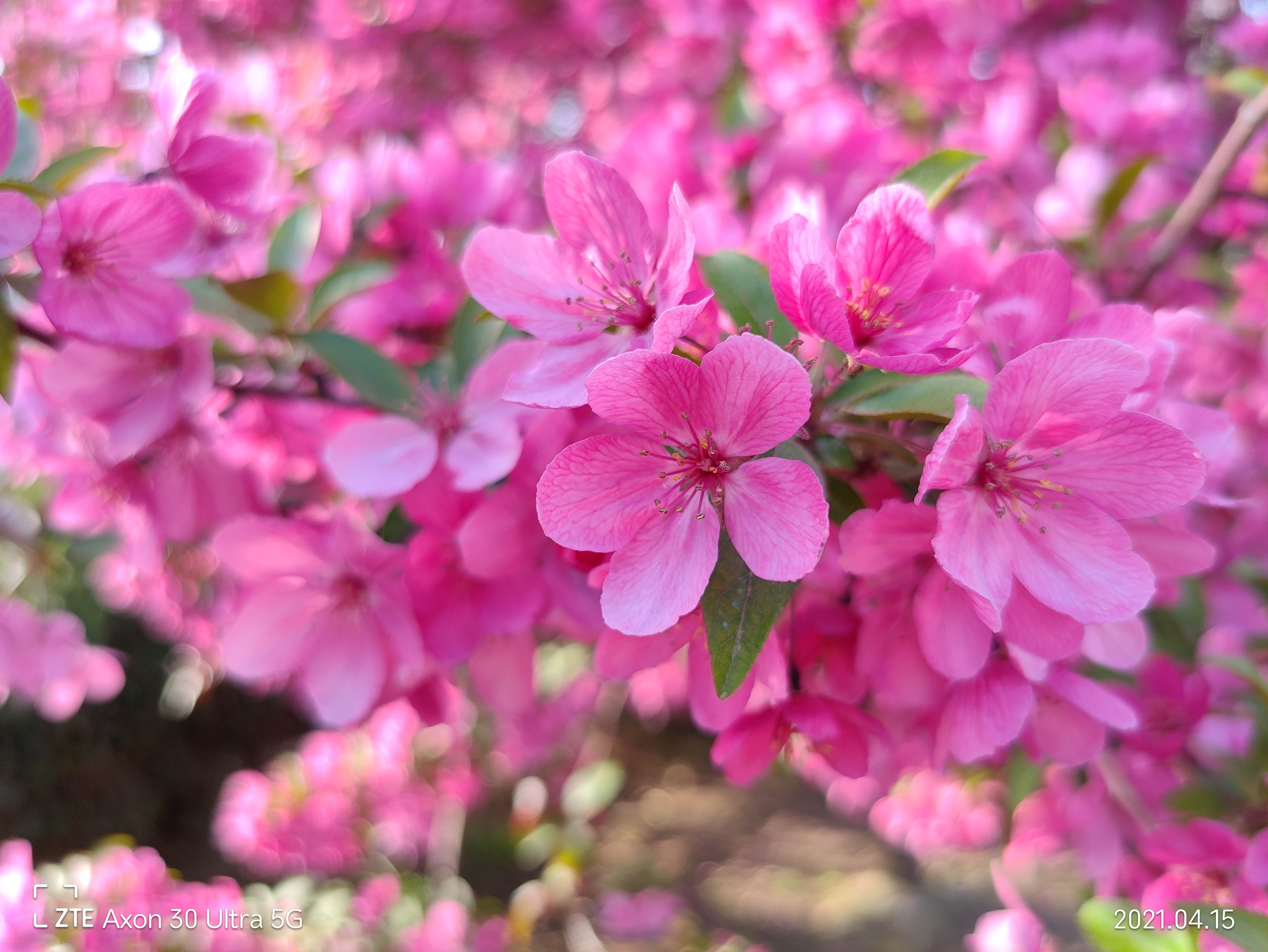 中兴axon30pro测评小白测评,中兴axon30ultra三千新机能入手吗