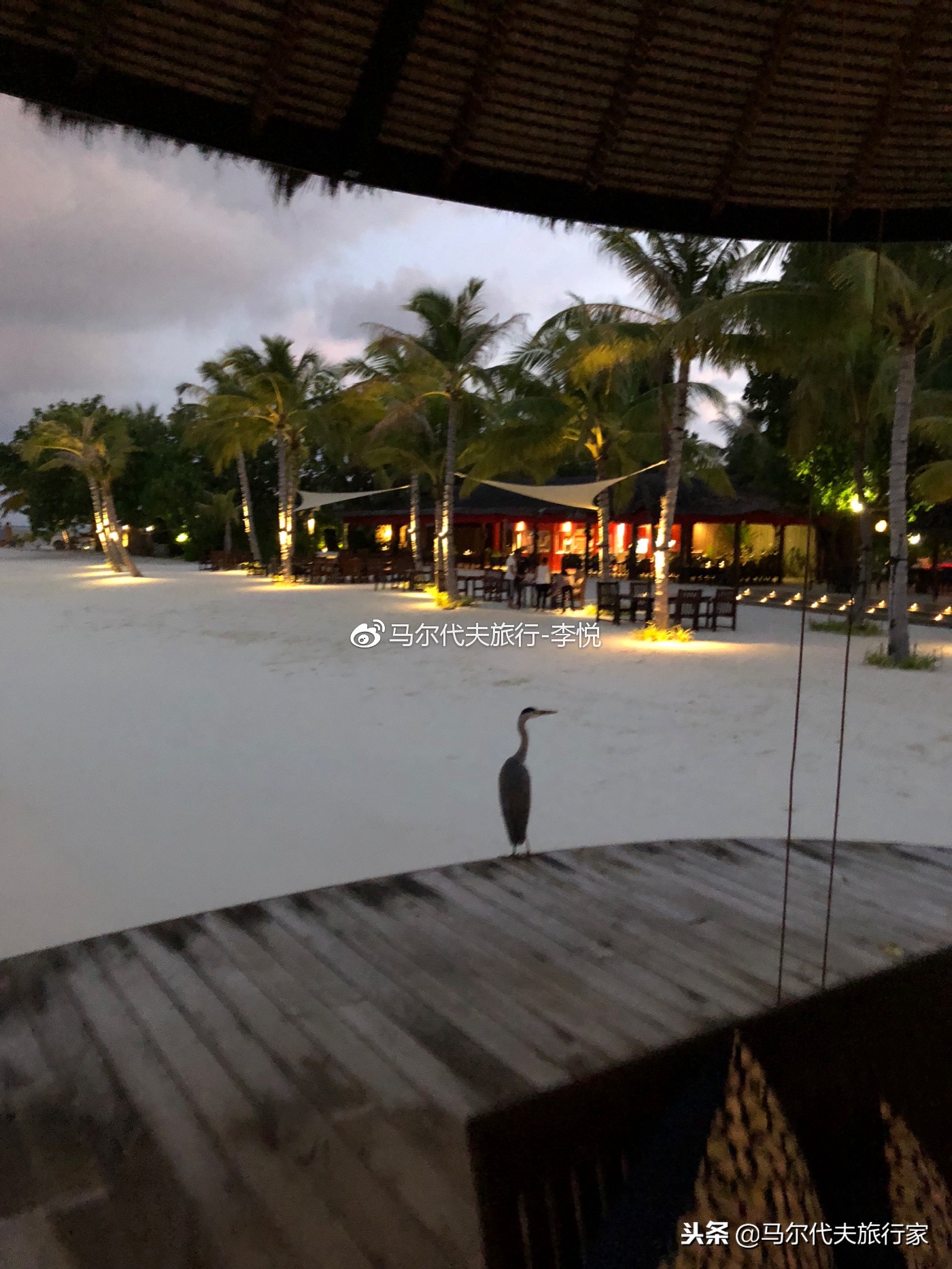 马尔代夫卓美亚海岛,马尔代夫卓美亚岛攻略