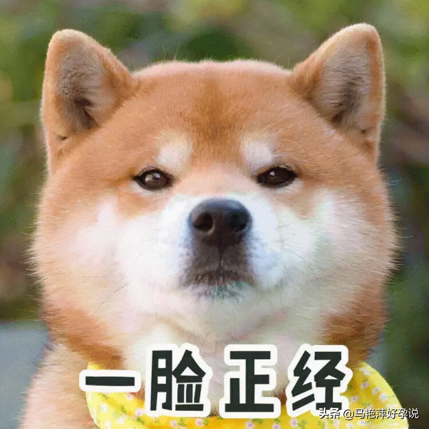 怀孕没有那么容易，每一根输卵管都有它的脾气