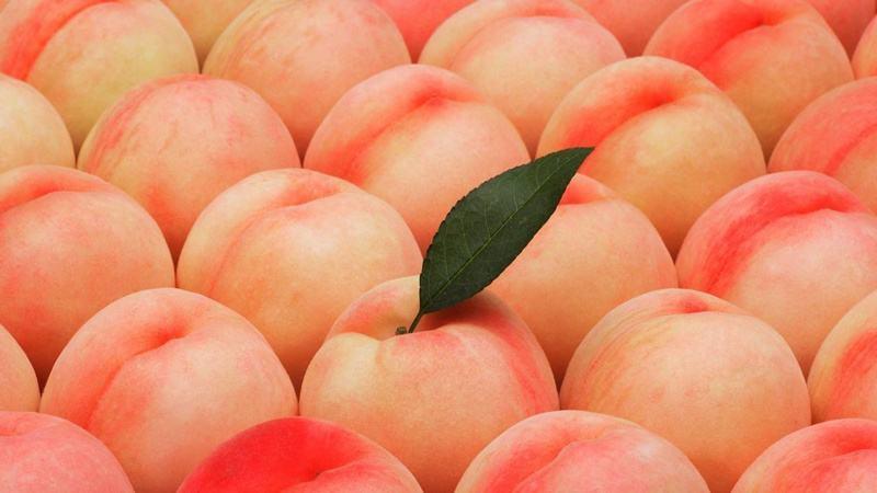 桃子怎样挑选最好吃,桃子挑选方法