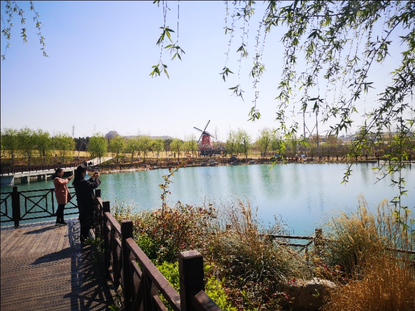 淄博花山公园梅花谷,淄博花山公园