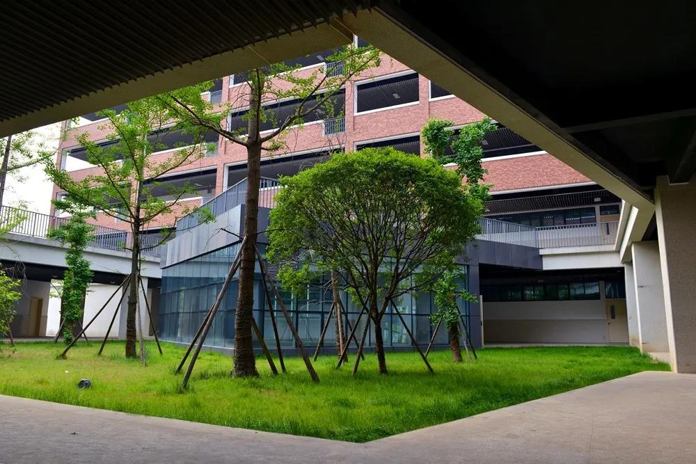 颜值冲锋，实力断后！一大批新学校曝光，太“刷脸”了