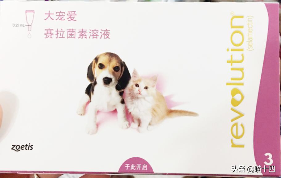 别让宠物医院榨干铲屎官的钱包——小毛病,不求人「外创篇-下」