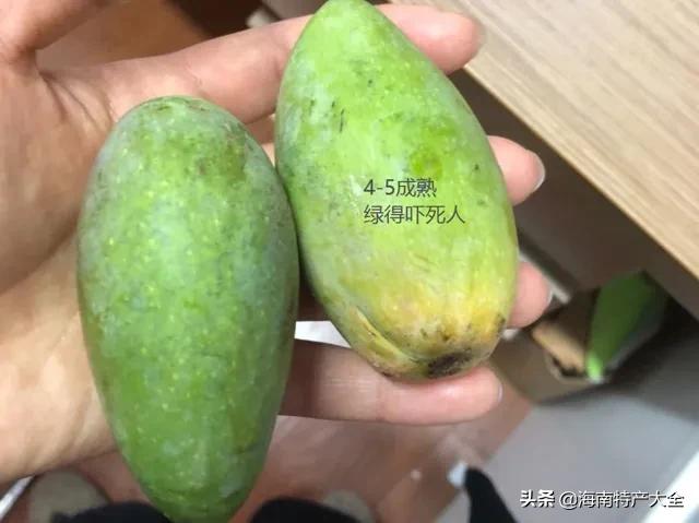海南树上熟贵妃芒5斤,树上熟的贵妃芒真的假的