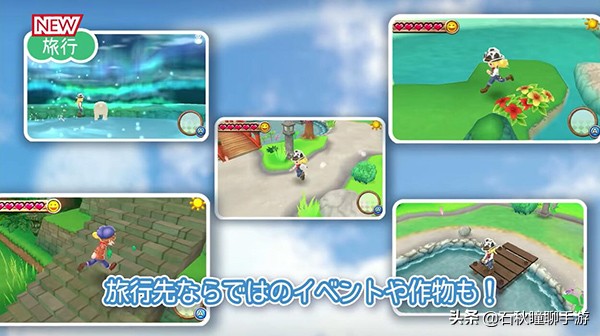 牧场物语最全攻略,牧场物语攻略经典