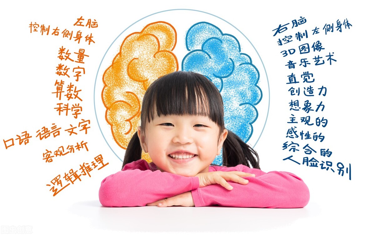 最强大脑卢菲菲揭秘高效记忆法,最强大脑翰林高效记忆法揭秘