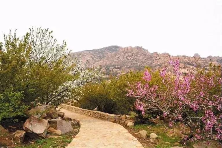 乳山乡村景点有哪些地方,威海乳山旅游好去处