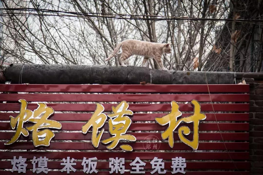 五厂美食推荐 (五厂附近美食)