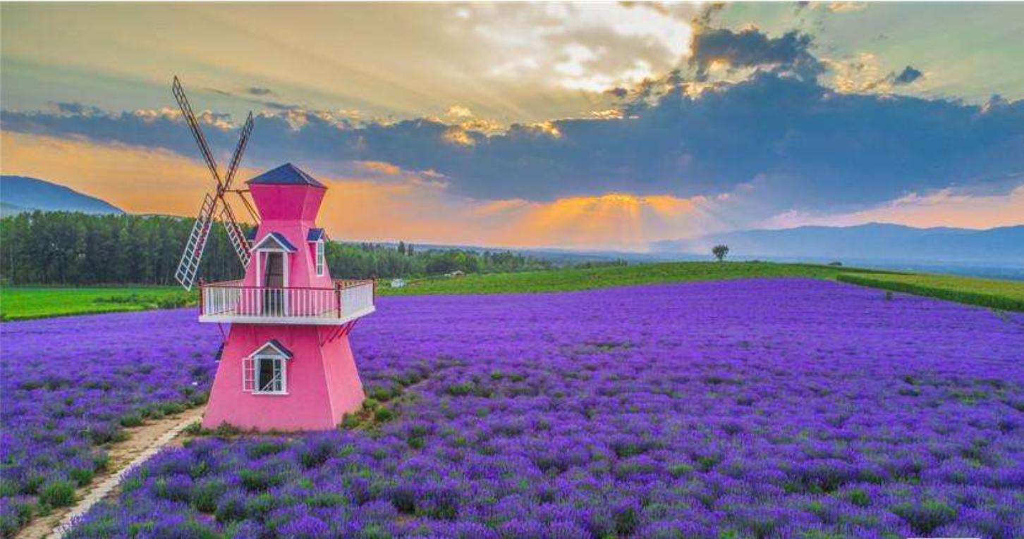 新疆伊犁人间仙境,新疆真正的人间仙境视频