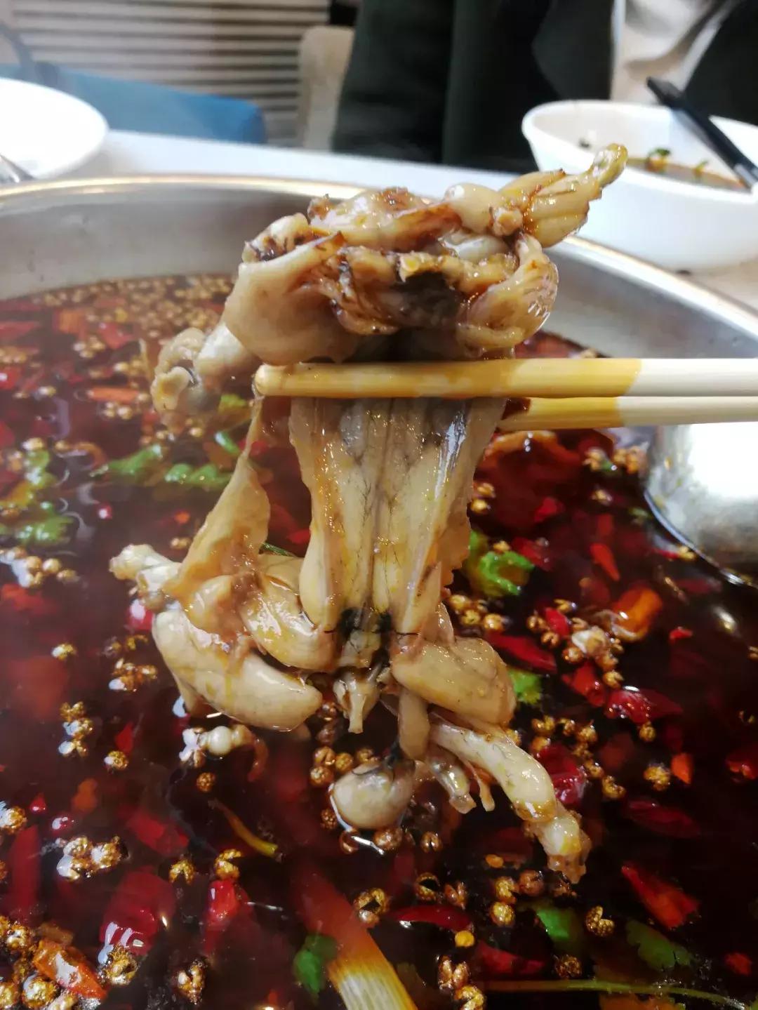 绵阳南河坝美蛙馆,绵阳最好吃的美蛙