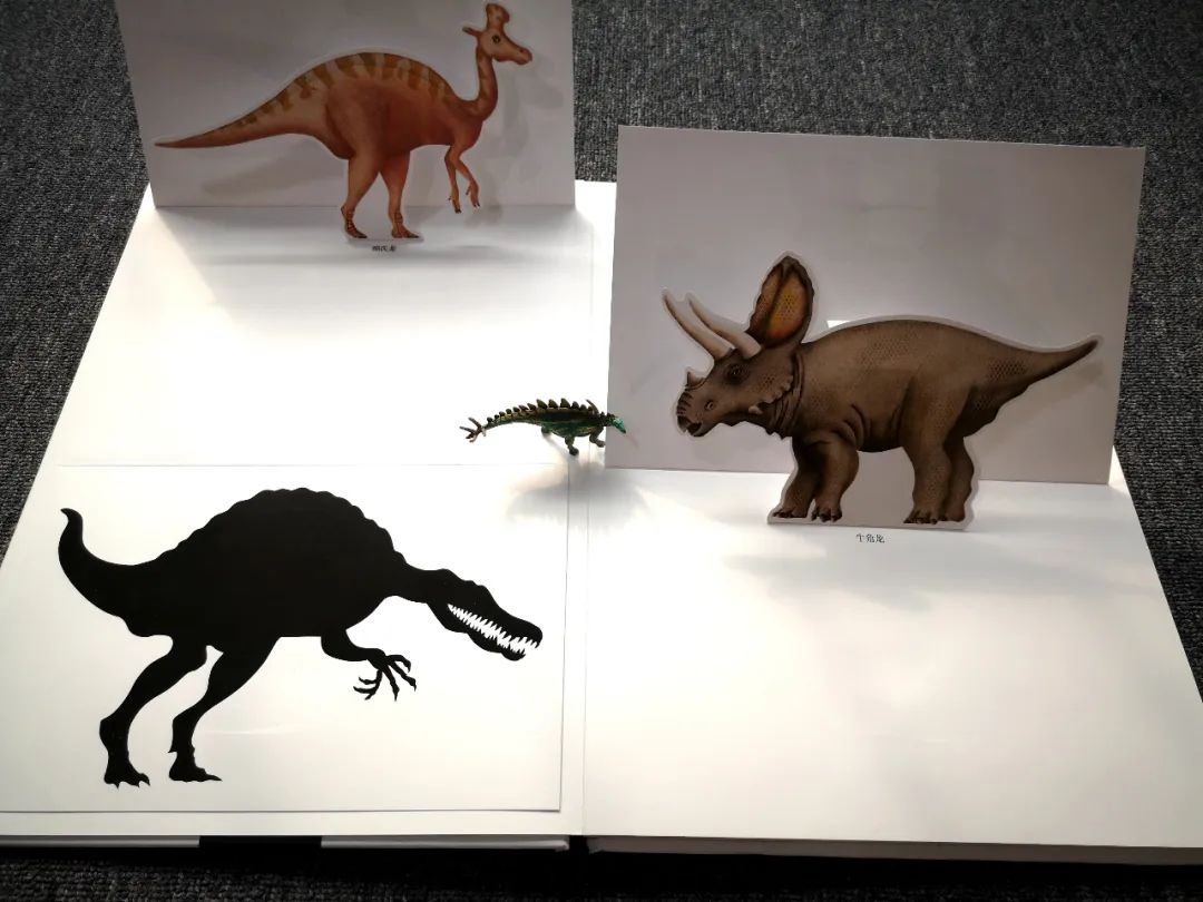 适合孩子看的恐龙科普书,适合5岁孩子看的恐龙科普书