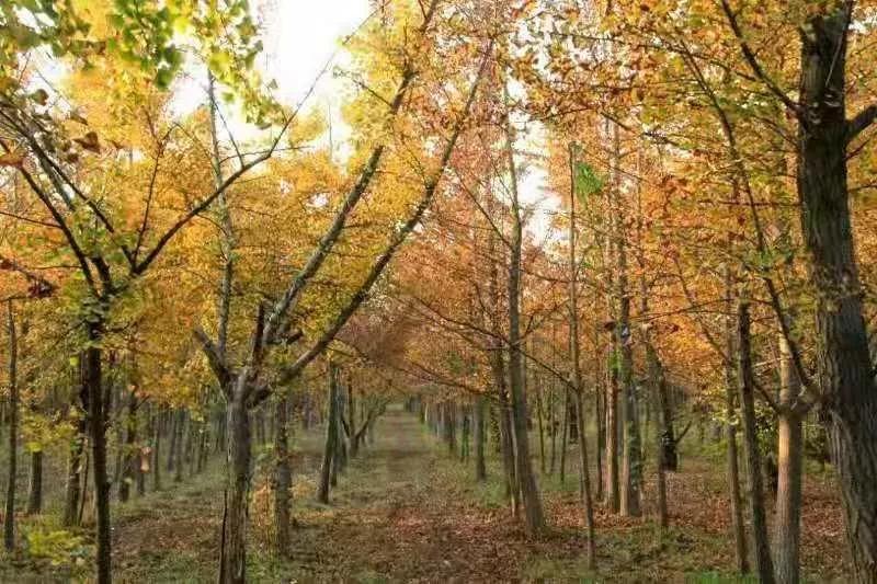 打卡北京十大古迹,打卡北京100个景点