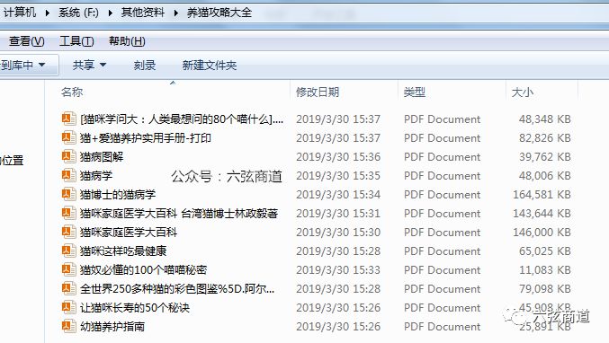 猫咪的火热市场,猫咪市场渠道