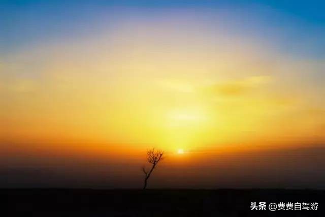 新疆一到冬天就成了最纯粹的远方,新疆从内陆变为开放前沿