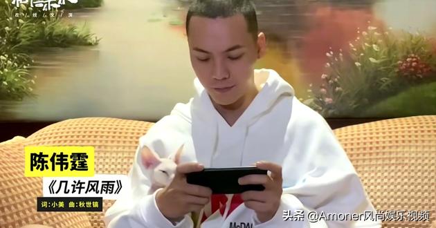 白岩松汪涵同框视频,汪涵主持人口误完整版