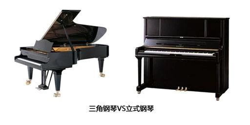 专业人士普及选琴须知,新手有必要用好琴吗