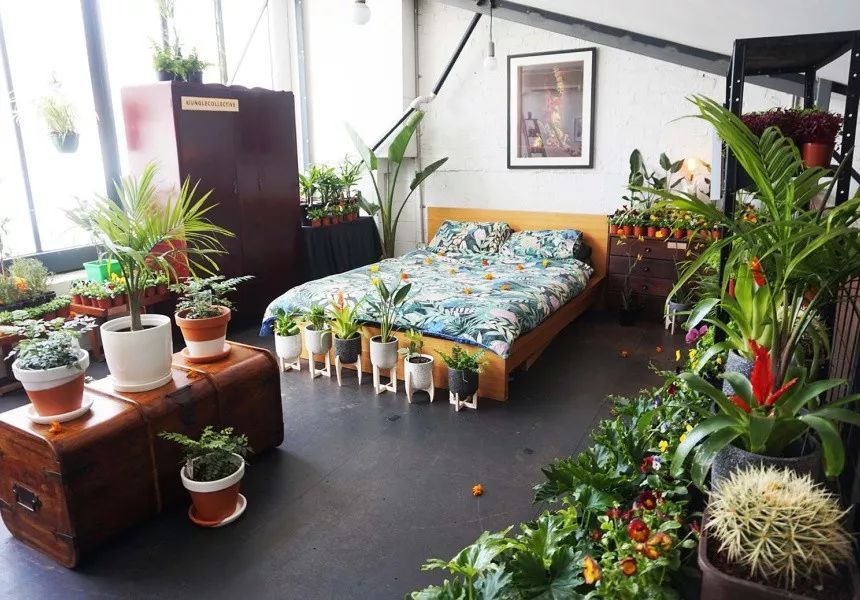 植物叶片上白色小虫,花卉叶片上有白色的虫子