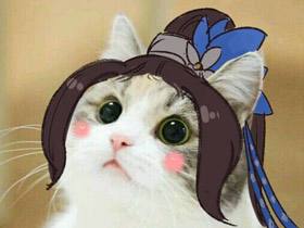 剑三萌新应该怎么玩,剑三萌新玩哪个门派