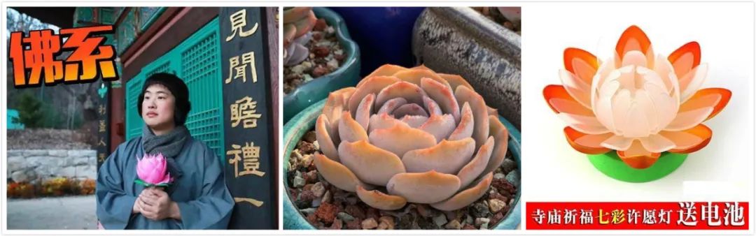 最漂亮的足球场设计图,荷花足球场