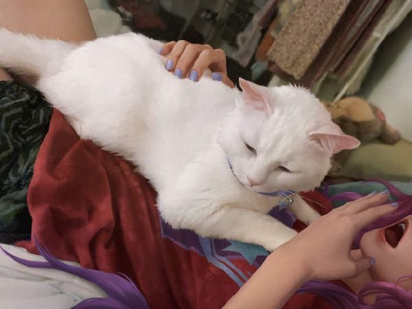 seraphine新英雄操作,seraphine辅助型法师