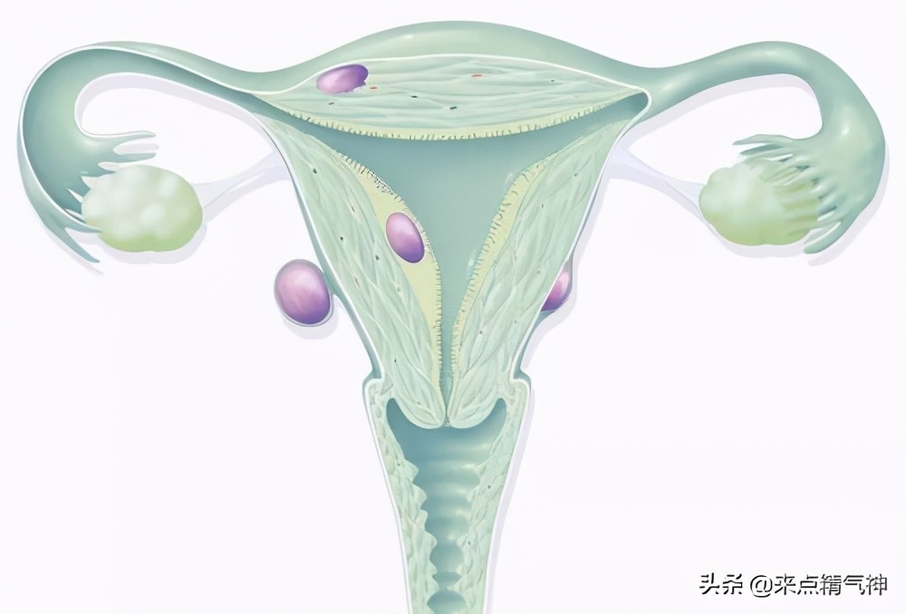 激素调月经有效果吗,激素调整月经周期失败