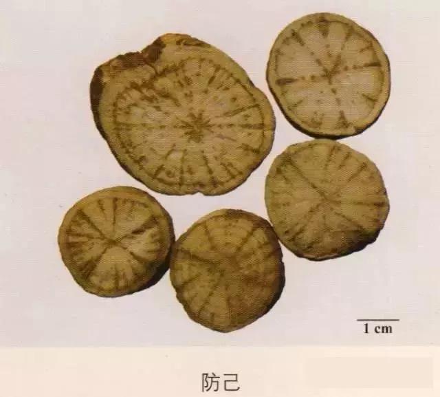 中药材图片大全大图带药名,200多味中药材图谱带图