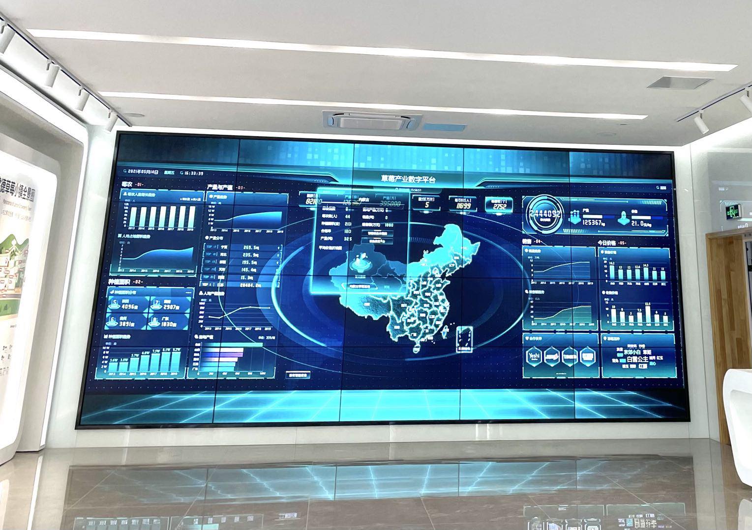 杨村草莓园,杨村桥今年草莓苗价格