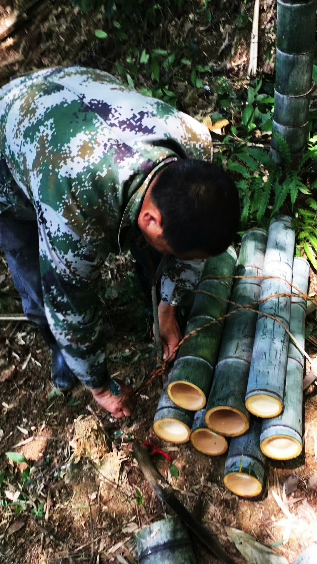 润之竹竹筒酒正宗竹叶青,竹叶青酒竹筒酒怎么制作的