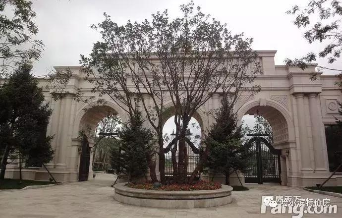 哈尔滨最好的校区房周边新楼盘,哈尔滨性价比高的校区房