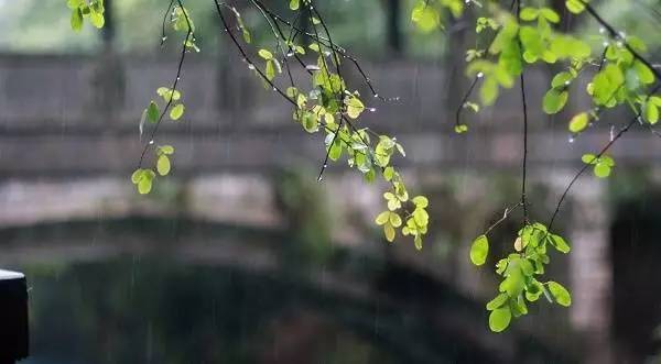 省会城市简称及城市别称,哪些城市可以称为大城市