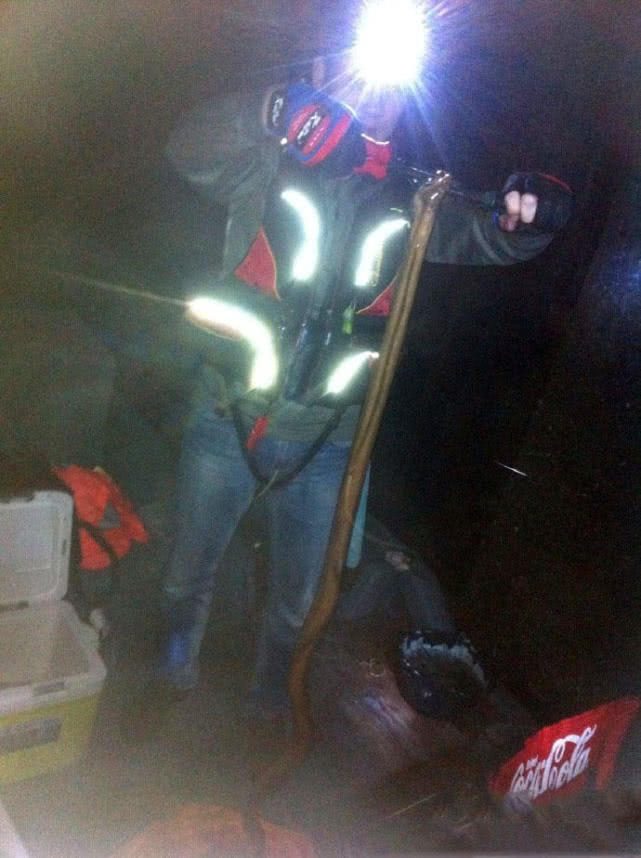 夜钓海鳗用什么饵,夜钓海鳗用沙蚕