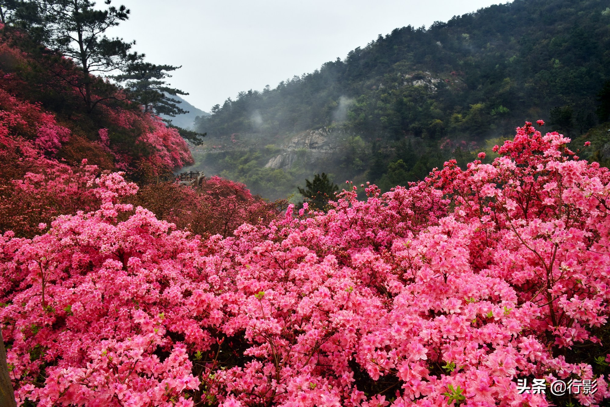 武汉青山网红打卡景点,云雾山武汉