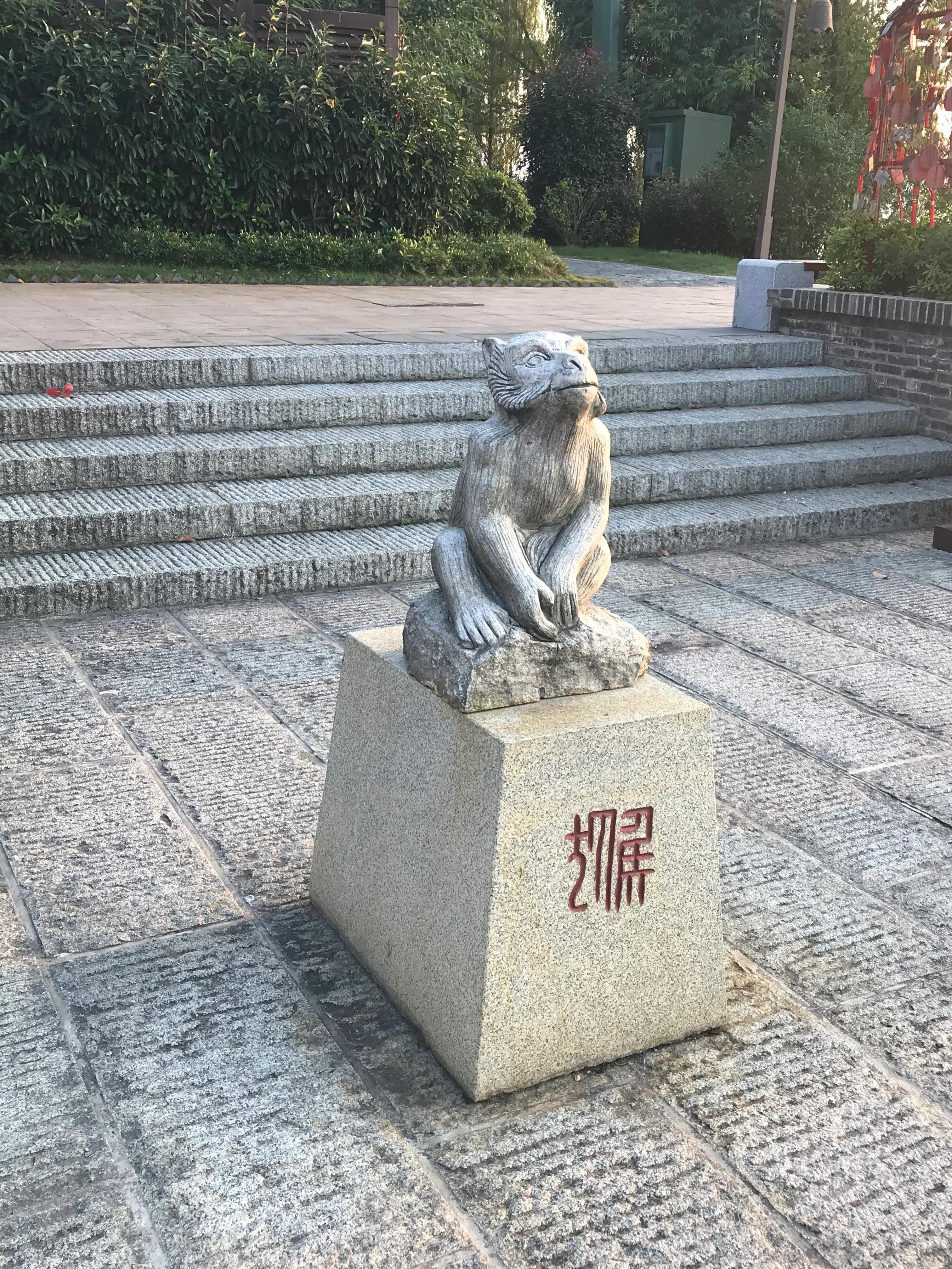 洋沙湖湿地公园游记,洋沙湖游记作文