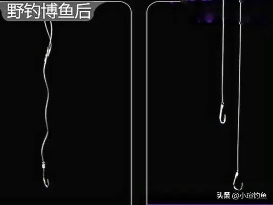 鱼线如何选购及配置？搞懂种类、型号，3种选法和配法，看完秒懂