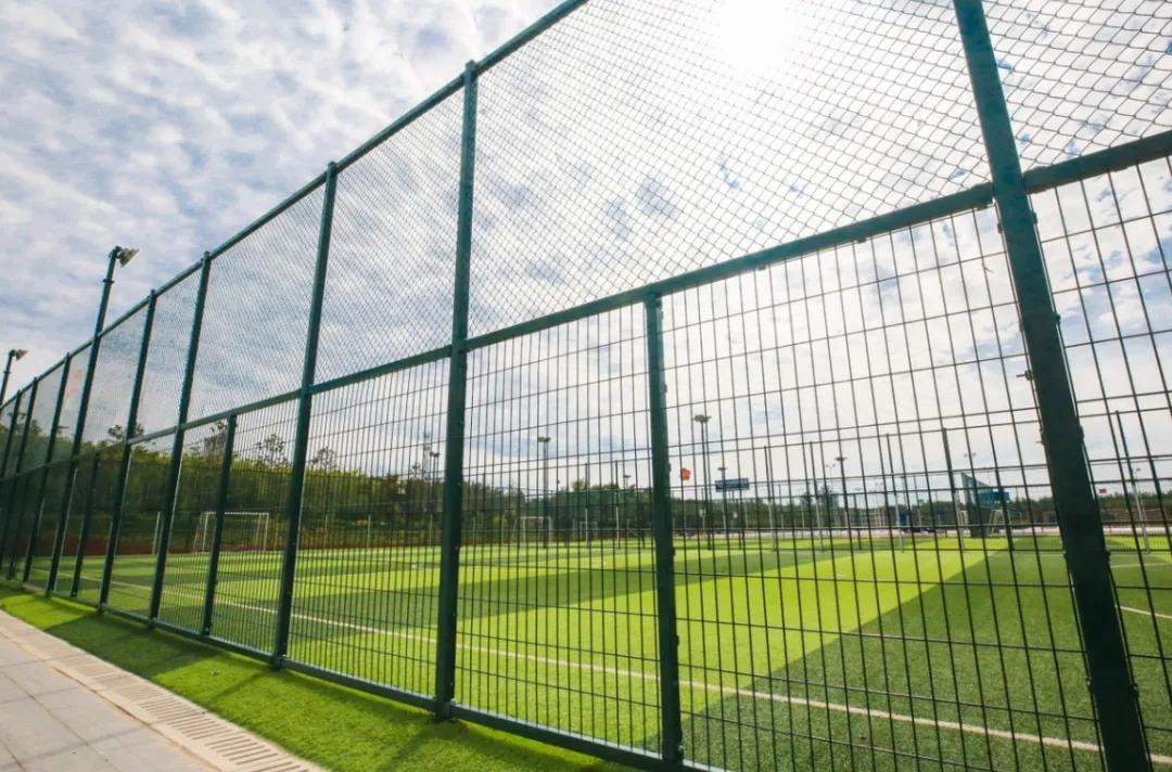 我为什么要留在深圳,我为什么要留在这座城