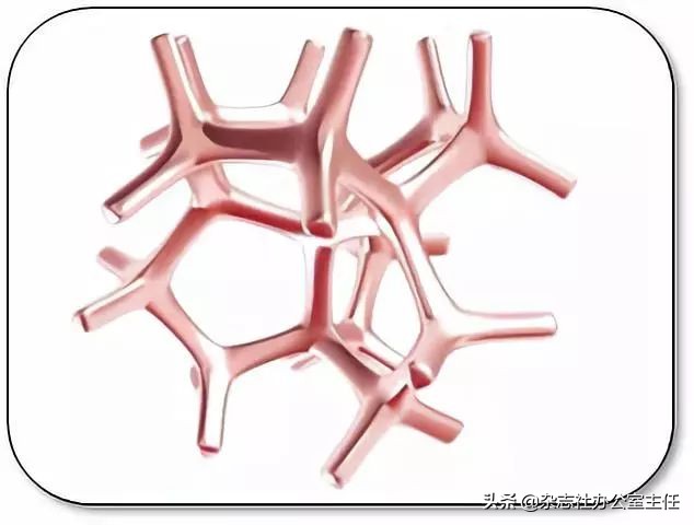 科研绘图流程模板,科研绘图教程