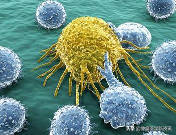 日本发明抗癌药免疫疗法,日本最新免疫治疗癌细胞