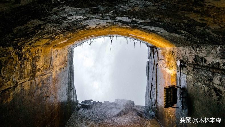 加拿大多伦多生活日记,加拿大多伦多留学生活纪实