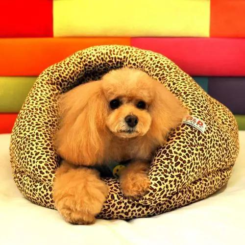 臭脚臭鞋袜不再尴尬，随身带瓶杀菌除味喷雾，轻轻一喷异味尽除