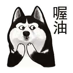 成都双流区天气14号,双流最近15天天气预报内容