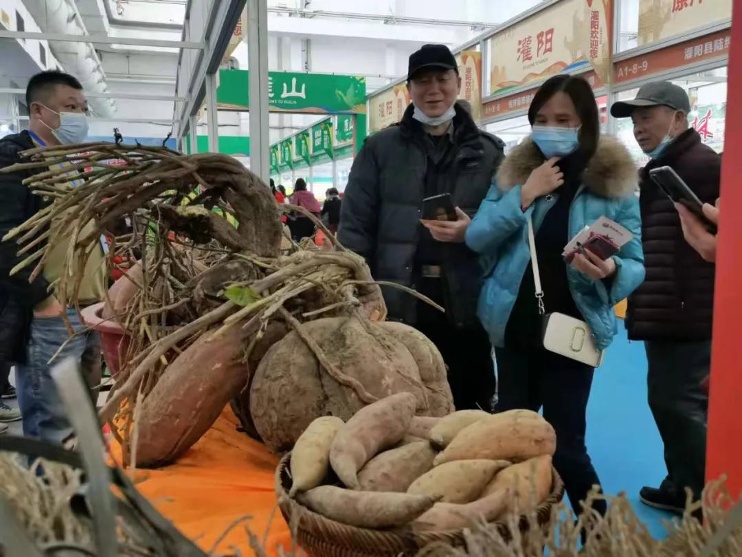 第19届农交会上的这些名特优农产品火了，有你家乡的吗？