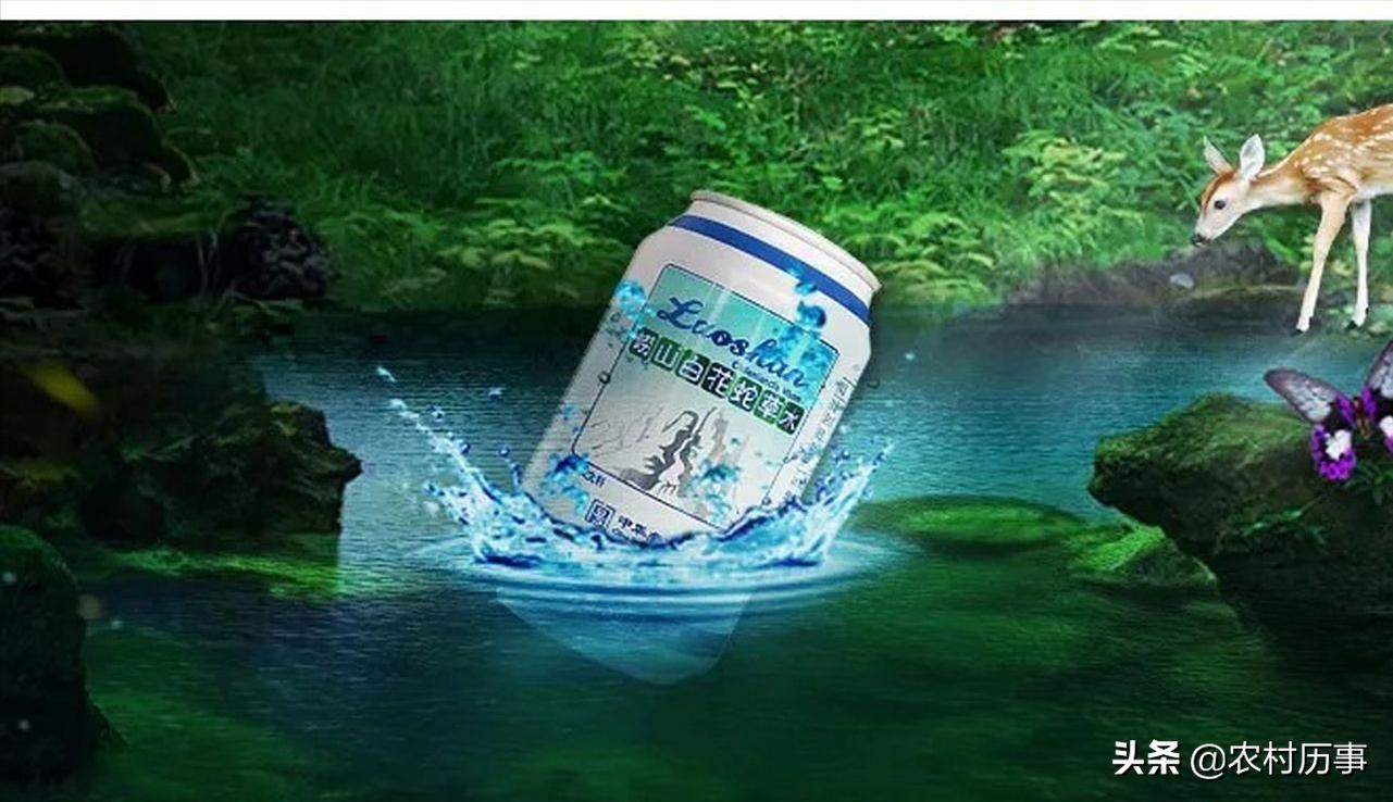 中国最难喝的五种饮料白花蛇草水,白花蛇舌草水饮料效果怎么样