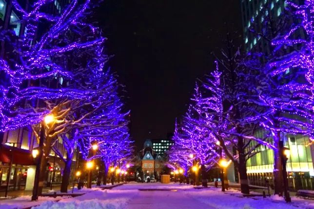 日本特色游玩,日本别样旅行