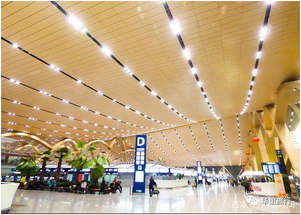 坐飞机出行前准备什么,第1次坐飞机登机前流程