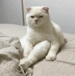 2021年外地户口在江门买房,江门买房子需要什么条件才能买