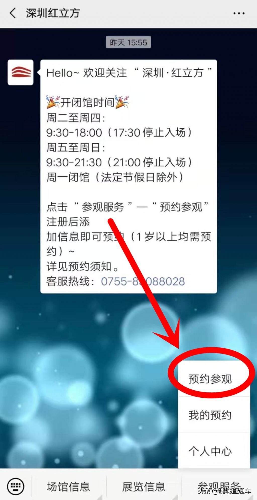 深圳龙华新建最大儿童乐园地址,深圳大沙河生态长廊儿童乐园