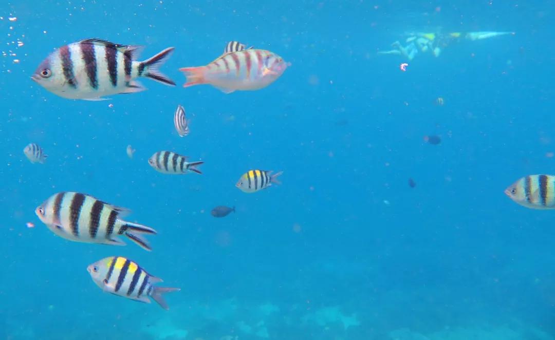 巴厘岛六天五晚游,巴厘岛五天四夜自由行攻略